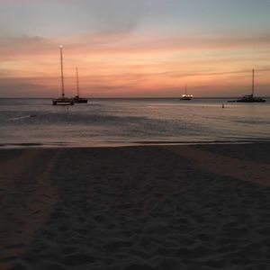 Meet your Posher, Paige